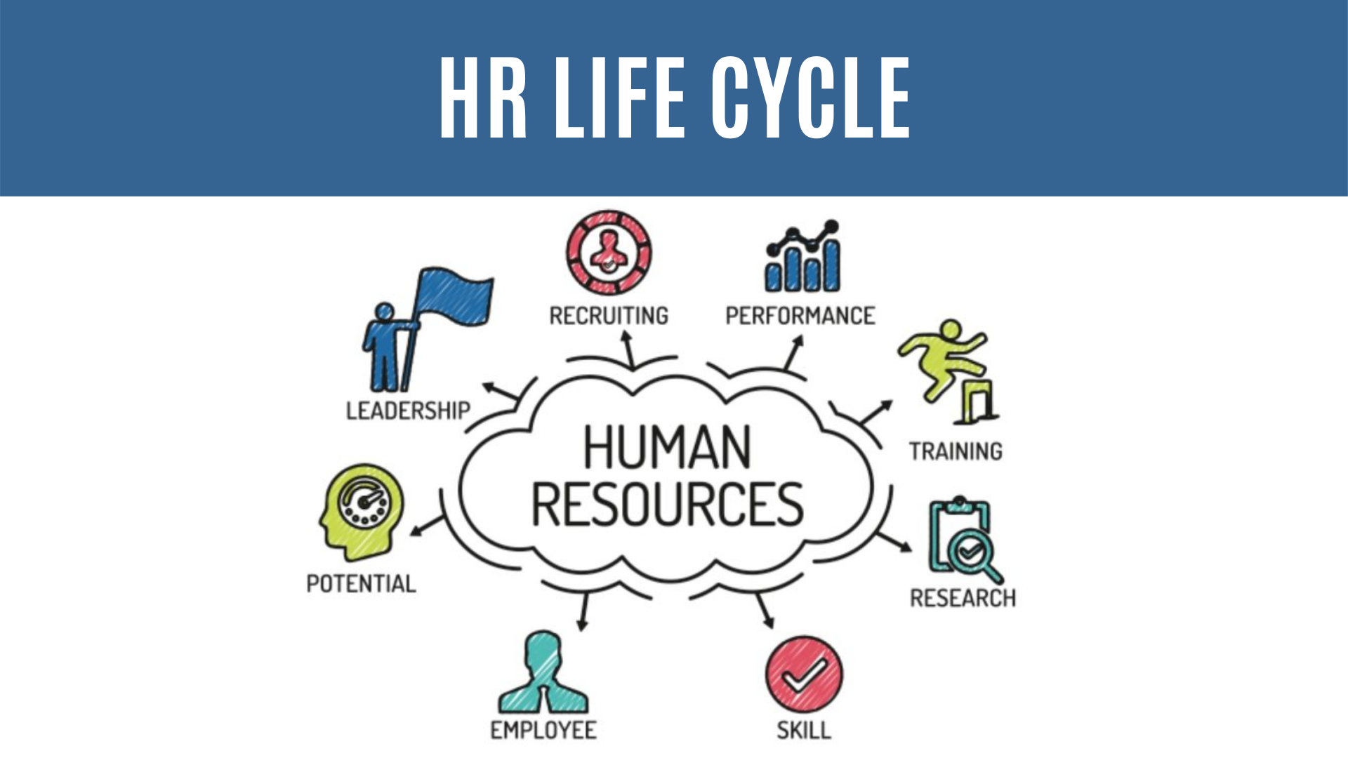 HR Lifecycle: From Recruitment to Retention