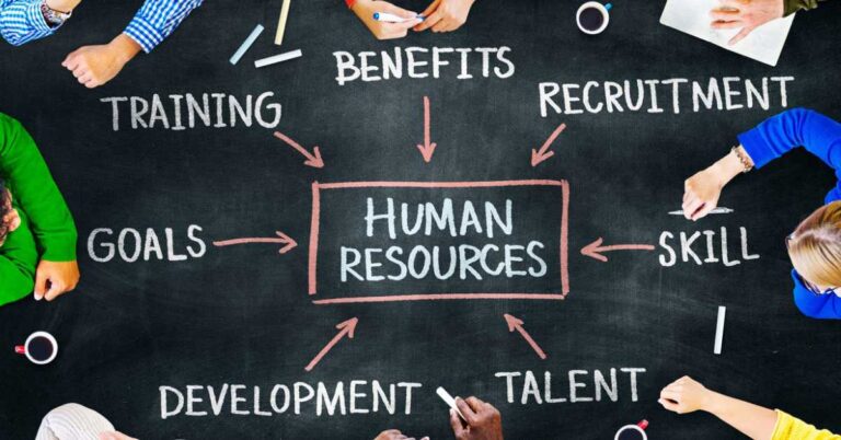 Human Resource 101: A Complete Beginner’s Guide (2025)