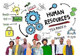 Human Resource